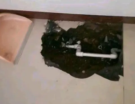 武邑卫生间测漏水多少钱